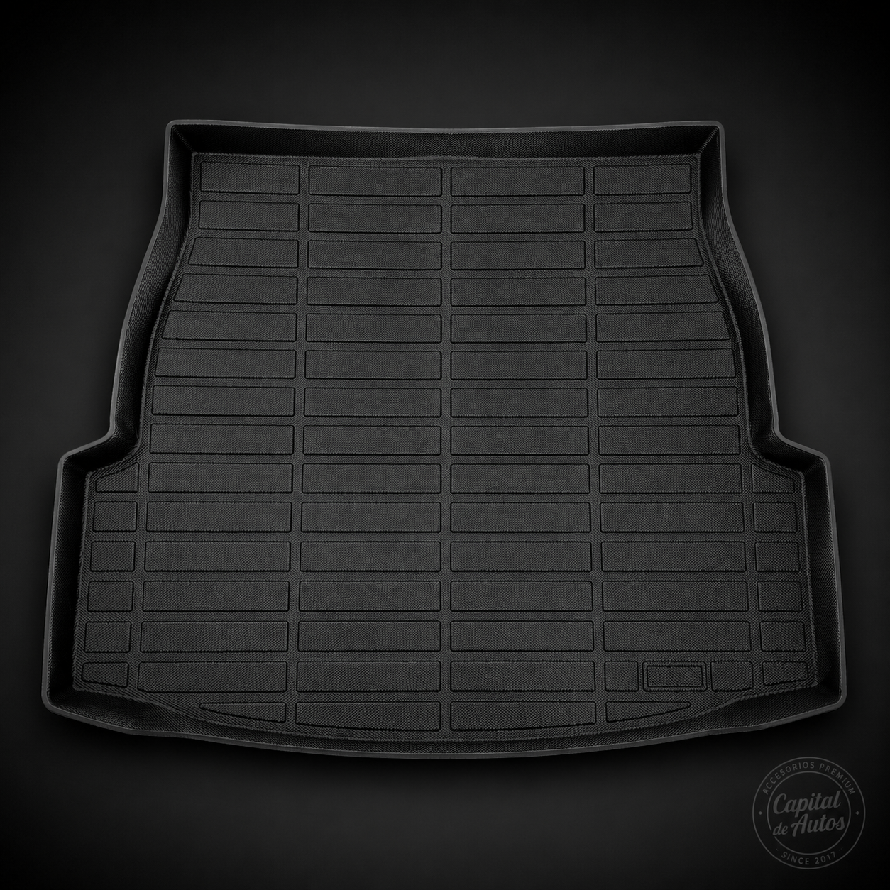Alfombra Toyota Rav4 2020-2025 Gasolina Cajuela AY
