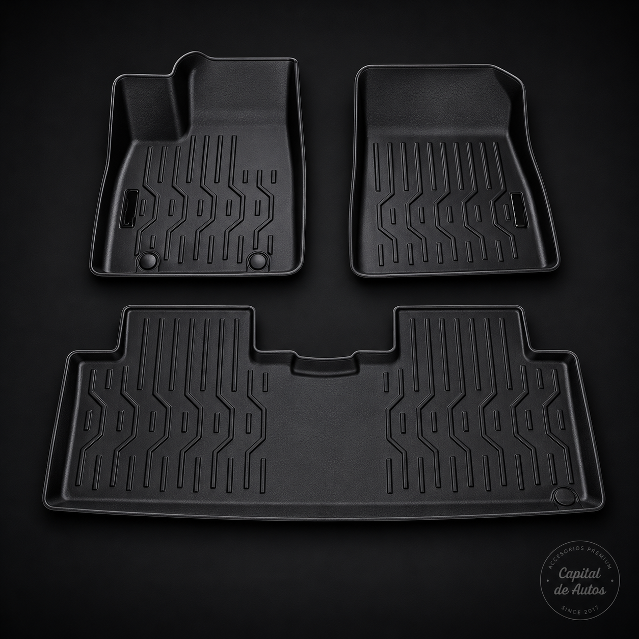 Alfombras BYD S1 Pro 2025+ Pasajeros AF